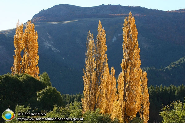 Foto Alamos  (Federico Soto)