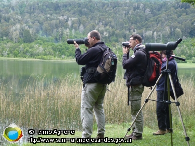 Foto Observando aves ()