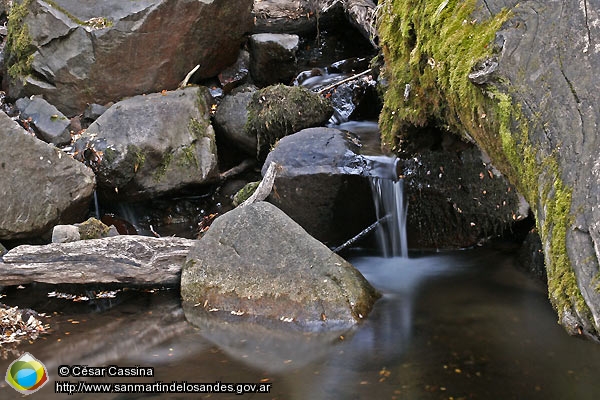 Foto Arroyo de montaña (César Cassina)