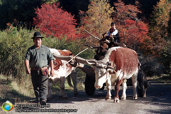 Foto Catango mapuche (Ezequiel Scagnetti)