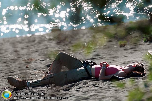 Foto Descanso sobra la arena (Ezequiel Scagnetti)