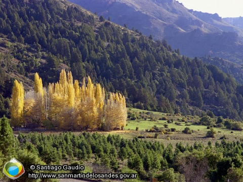 Fondo de Pantalla Otoño en Filo Hua Hum (Santiago Gaudio)