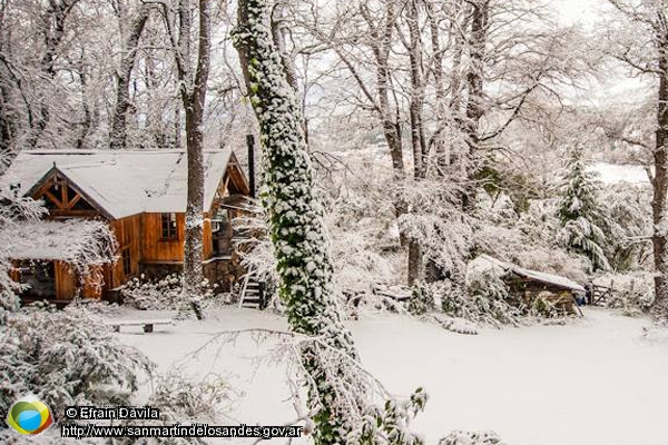 Foto Casa en el bosque (Efrain Dávila)