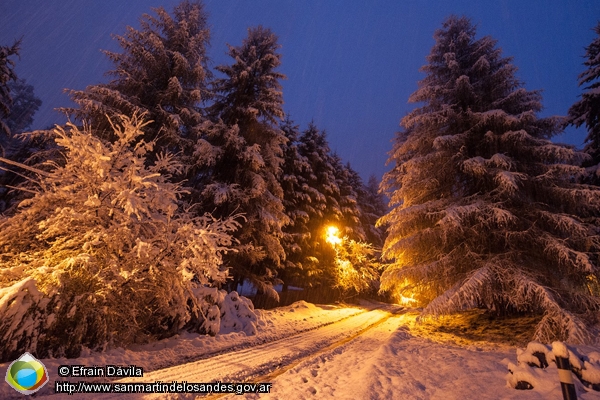 Foto Amaneció nevando (Efrain Dávila)