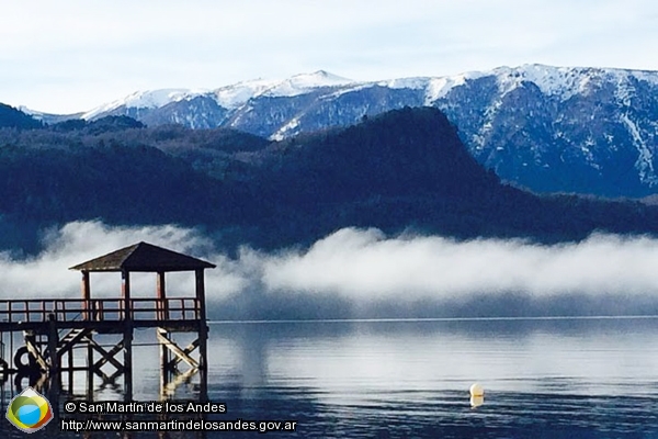 Foto Bruma en Quila Quina (San Martín de los Andes)