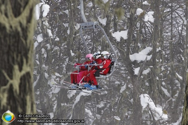 Foto En el bosque de Chapelco (Cerro Chapelco)