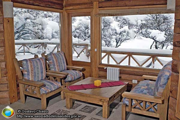 Foto Con vista al bosque nevado (Gustavo Charro)