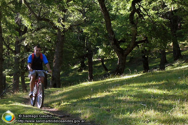 Foto Mountain bike (Santiago Gaudio)