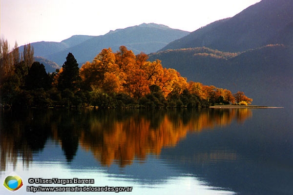 Foto Otoño en Quila Quina (Ulises Vargas Barrera)