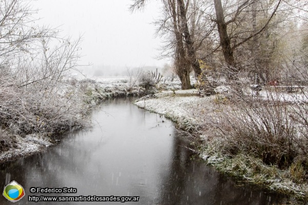 Foto #nevada (Federico Soto)