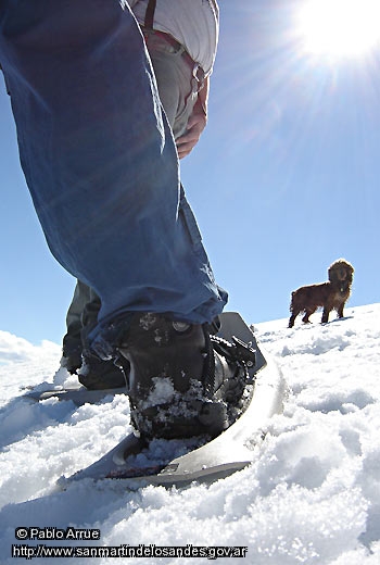 Foto Trekking con raquetas (Pablo Arrue)
