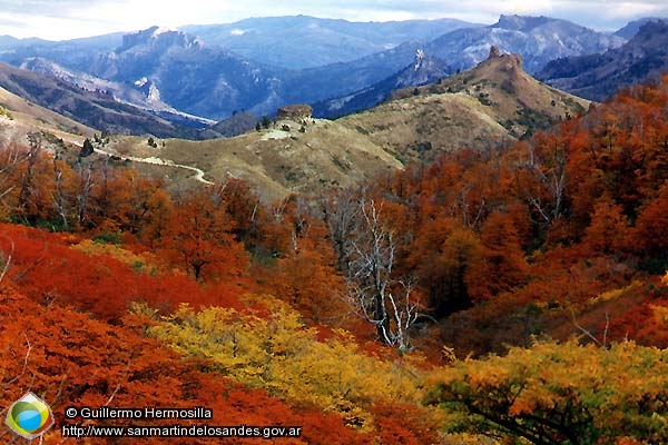 Foto Otoño en Paso Córdoba (Guillermo Hermosilla)