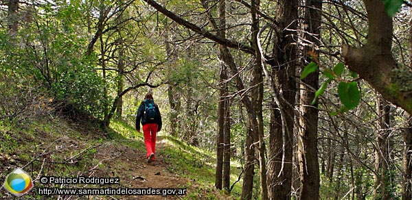 Foto Sendero (Patricio Rodriguez)