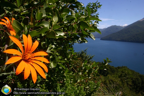 Foto Primavera (Santiago Gaudio)