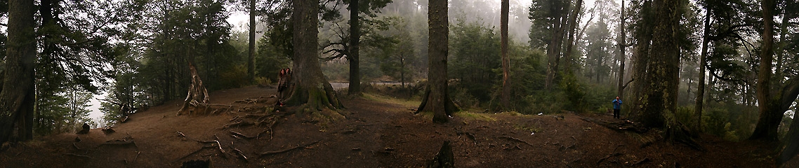 Panorámica 360º Bosque invernal (Santiago Gaudio)