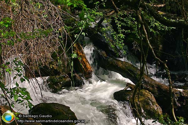 Foto Salto de agua (Santiago Gaudio)