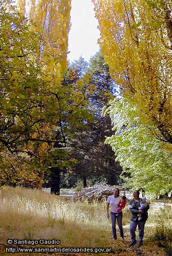 Foto Paseo otoñal (Santiago Gaudio)