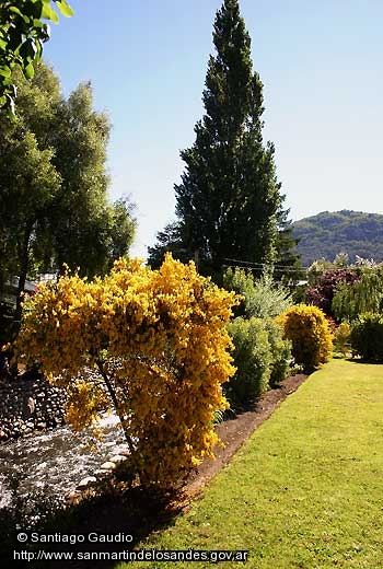 Foto Arroyo en primavera (Santiago Gaudio)