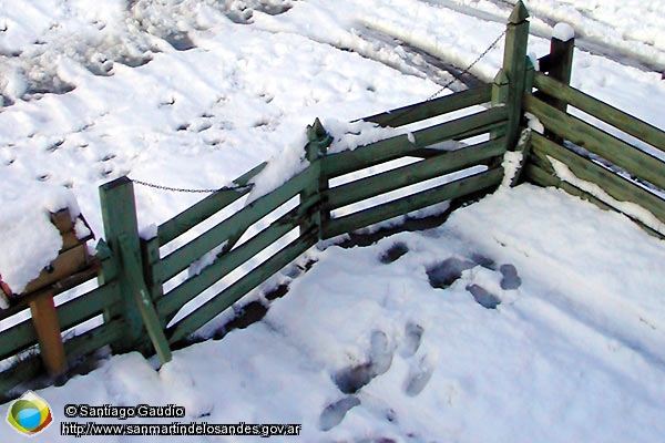 Foto Detalle invernal (Santiago Gaudio)