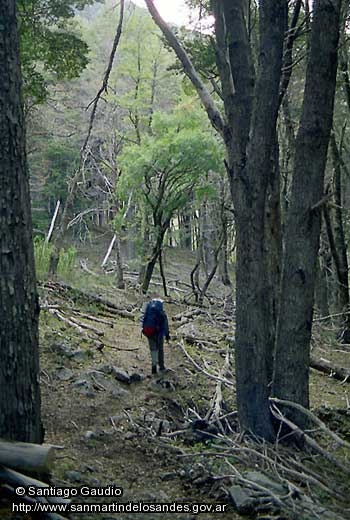 Foto Caminata (Santiago Gaudio)