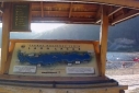 Foto Cartel Interpretativo Parque Nacional Lanín (Cristina Lazos)