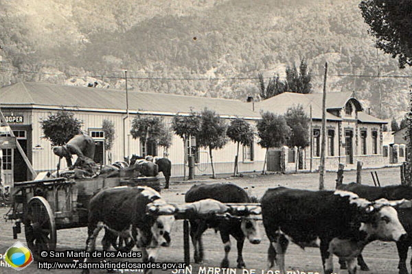 Foto Catango (San Martín de los Andes)