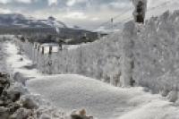 Foto Campo nevado (César Cassina)