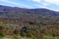 Panorámica 180º Llegaron los colores otoñales (Guillermo Tosi)