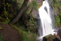 Panorámica 180º Cascada y bosque (Santiago Gaudio)