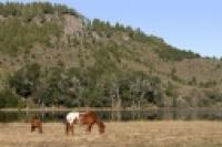 Panorámica 180º Laguna Rosales (Santiago Gaudio)