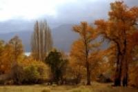 Foto Paraje mapuche (Santiago Gaudio)