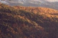 Foto Vista del pueblo en otoño (Santiago Gaudio)