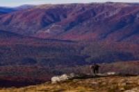 Foto Trekking (San Martín de los Andes)